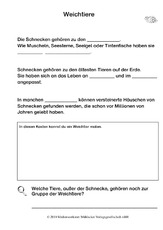 Lückentext Weichtiere.pdf